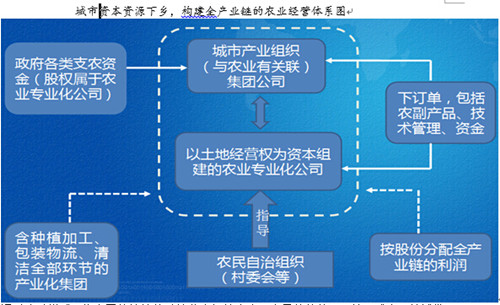 中國經濟體制改革基金會楊慶育：重慶統(tǒng)籌城鄉(xiāng)綜改案例及深化改革方向