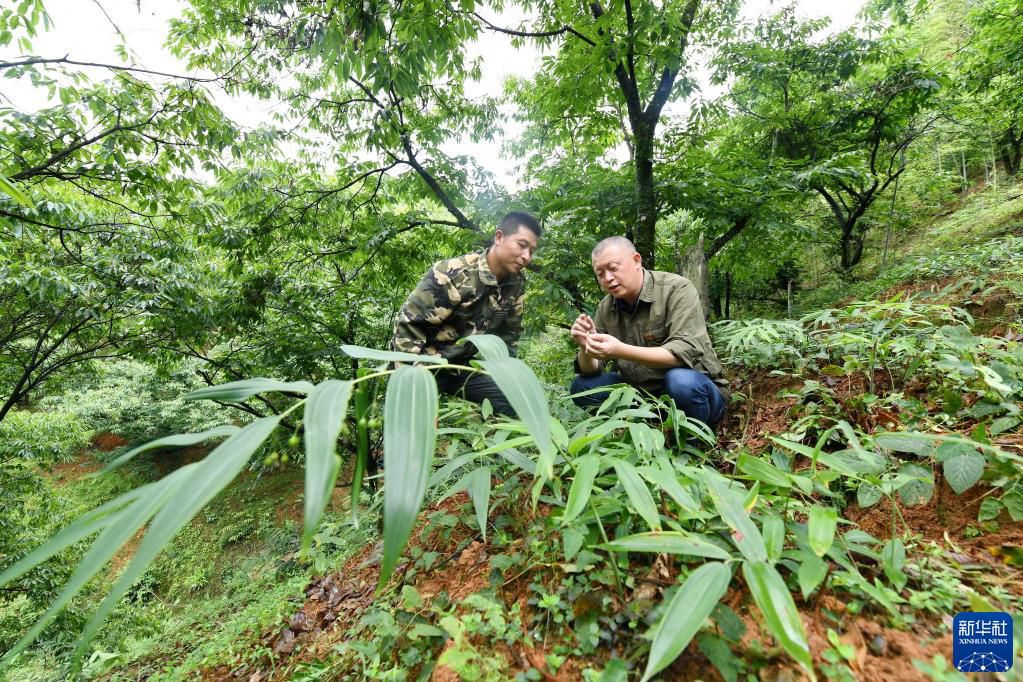 點(diǎn)擊進(jìn)入下一頁